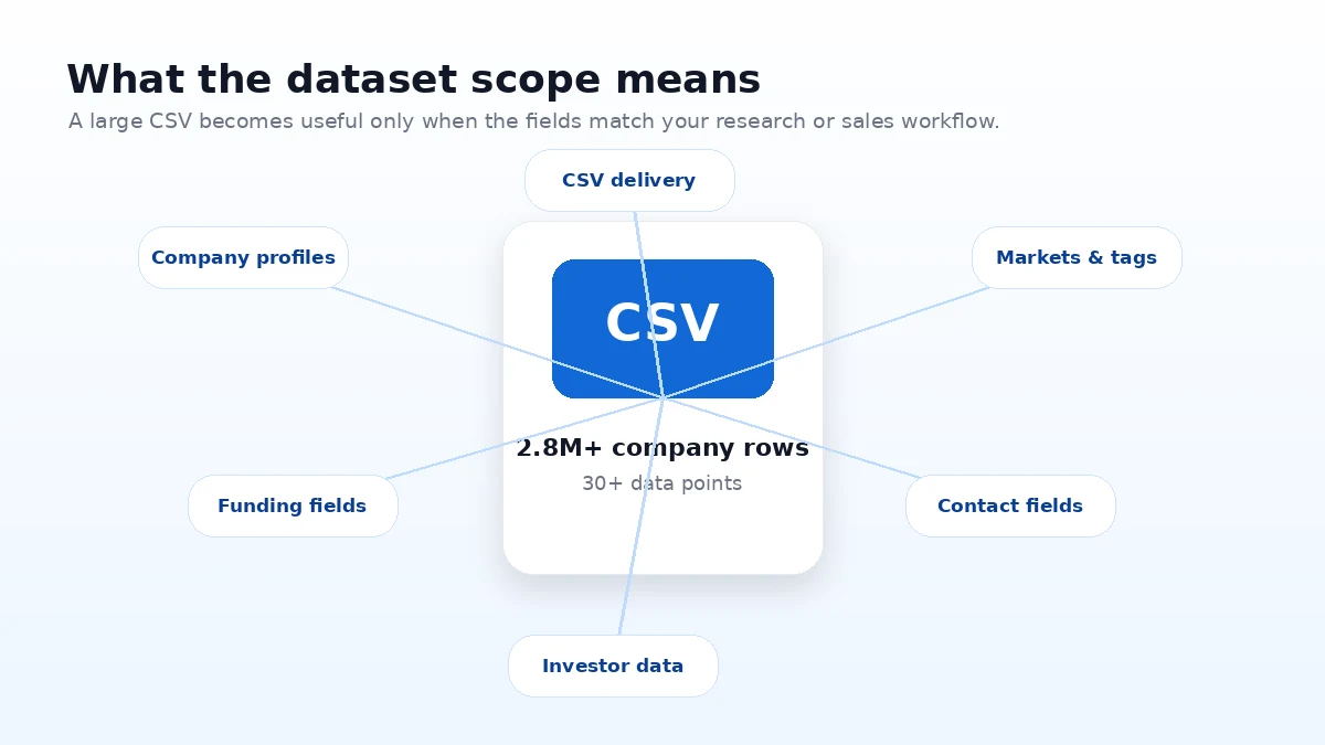 FindDataSet: final verdict, showing when a one-time B2B dataset is useful and when buyers should choose live data or outreach tools instead