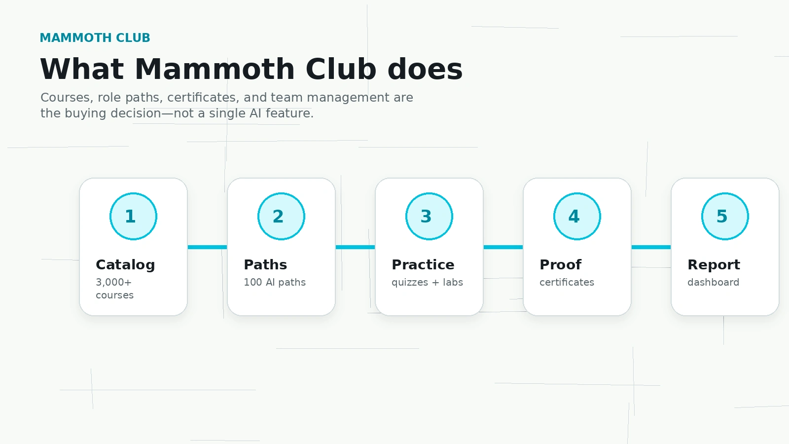 Mammoth Club: final verdict, showing when buyers should consider, skip, or trial the AI training platform