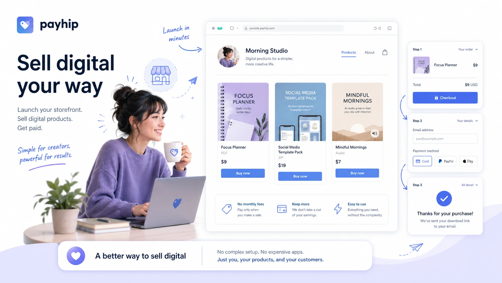 Payhip review visual