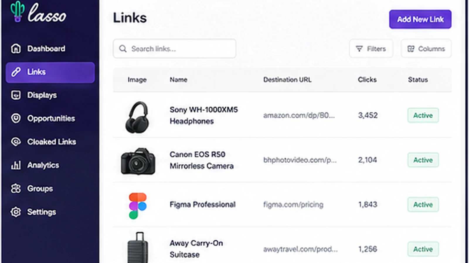 Lasso: link management dashboard, showing how creators organize affiliate links and monitor link status