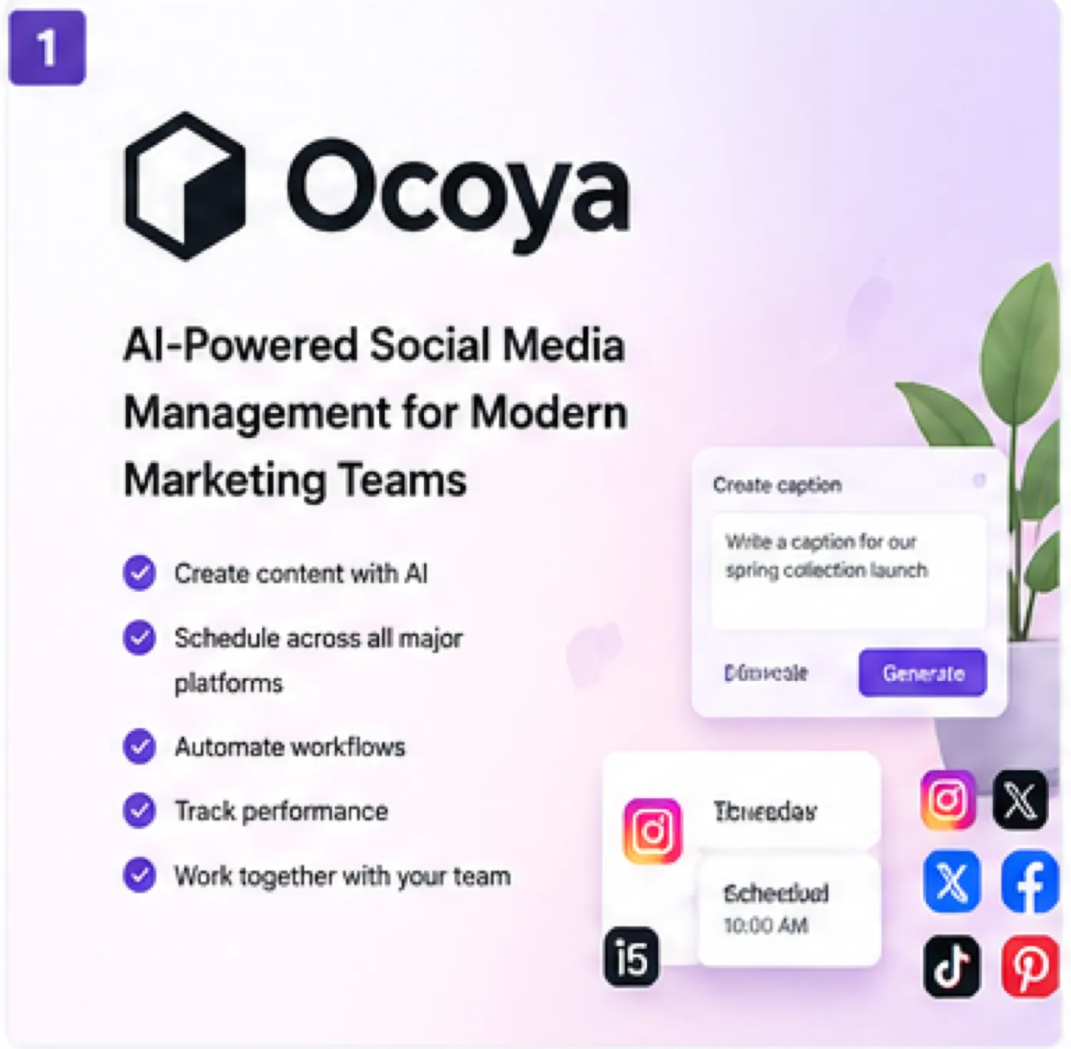 Ocoya hero